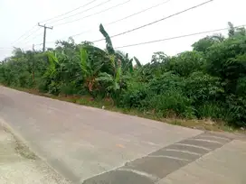 Dijual Murah Lahan Pinggir Jalan Raya Nempel Dengan BSD