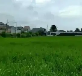 Tanah 8ha di Semanan Kalideres Jakarta Barat