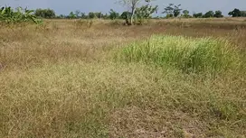 Murah Tanah Komersial Sewa di Wonoayu Meiko Sidoarjo