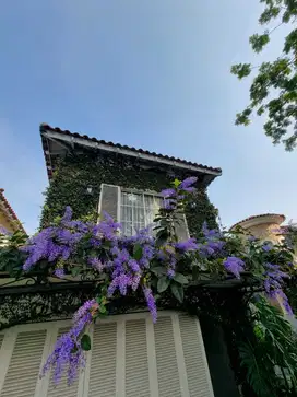 Dijual Rumah Asri Siap Huni Di Lippo Karawaci Utara