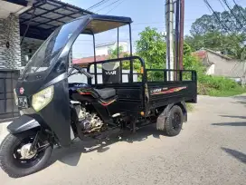 Viar roda tiga 150 CC Long