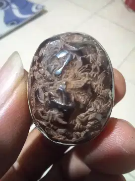 Batu akik fosil kayu