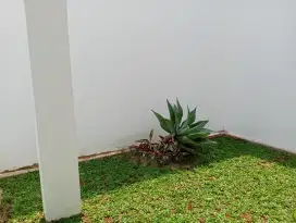 Dijual Rumah Mewah 4 Kamar Tidur Di Selatan Jakarta