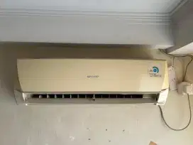 AC Sharp 1 PK Bekas