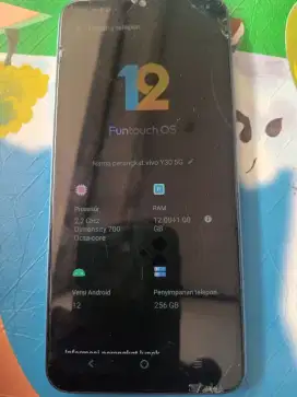 Vivo y30  5G Ram 12+1/256Gb normal