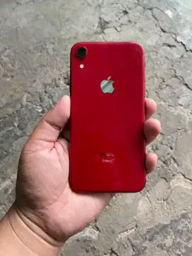 Iphone Xr 128GB Ibox