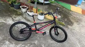 bmx pacific r20