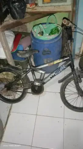 Jual spede anak dewasa