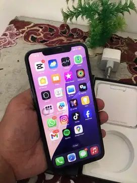 Iphone 11 Pro Max 512gb beacukai