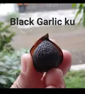 Jual Bawang Hitam Home Made
