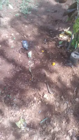 puing sampah sisa sebagainya