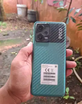 Poco x5 5g 8/256