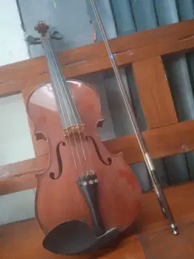 Biola dewasa 4/4 Steiner lengkap