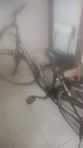 Bike Wyn Cicly,  7 sped,