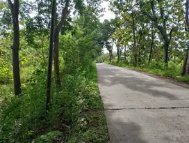 Dijual tanah pinggir jalan, tanah dijual murah pinggir jalan