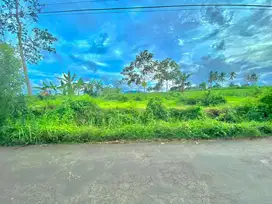 Tanah poros jalan sukodadi dekat panorama garden cocok buat cluster