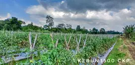 Dijual tanah luas subur pinggir jalan strategis view keren