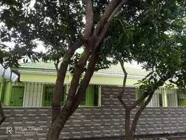 Dijual Rumah Dekat Ciputra World di Sawunggaling Surabaya