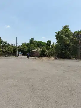 Dijual Tanah di Mojosari Mojokerto Strategis Tengah Kota Murah