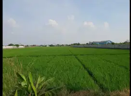 Dijual tanah Luas Strategis di Karawang Barat Jawa Barat