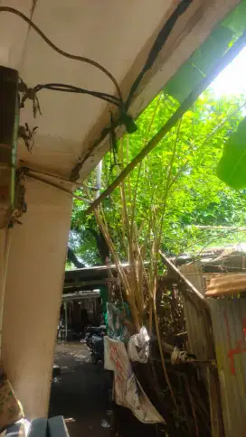 Kontrakan rumah