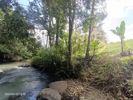 Tanah view sungai dan sawah dekat Villa Bali Lush