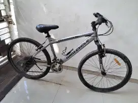 MTB Wimcycle Dominate
