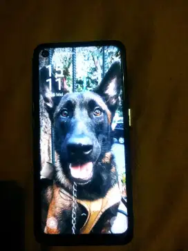 Oppo reno 7 8+8/256 mulus