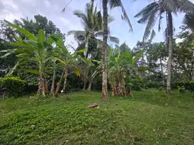 Dijual Tanah Luas 2,35 Ha (225 Are) – SHM – Harga Langsung Pemilik