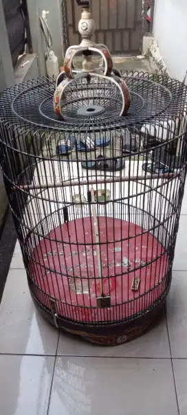 Kandang murai no 2