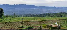 TANAH MURAH VIEW KOTA BANDUNG DI CIMAUNG BANJARAN