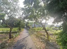 Jual Beli Tanah Jogja, Dekat Hyatt Palagan Monjali, Ringroad Utara