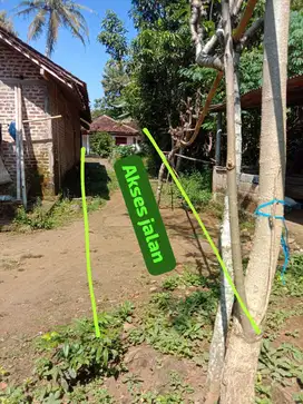 Tanah pekarangan murah di minggir Sleman