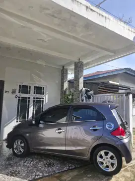 Brio E-Satya Manual 2016