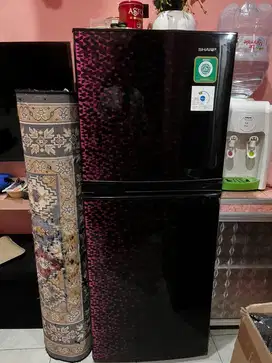 Kulkas sharp 2 pintu