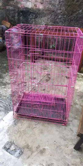 kandang kucing tingkat