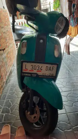 Fazzio 2023 pmk