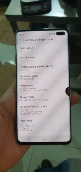 Samsung S10 Plus