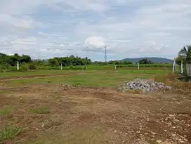 Tanah Kavling Ciampea Dekat IPB Dramaga, Hanya 850 Rb-an Permeter