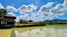 Tanah + Sawah + Kolam Ikan + 7 Kontrakan Purwakarta Dijual Murah