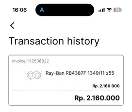 Ray-Ban RB4387F 1349/11 s55