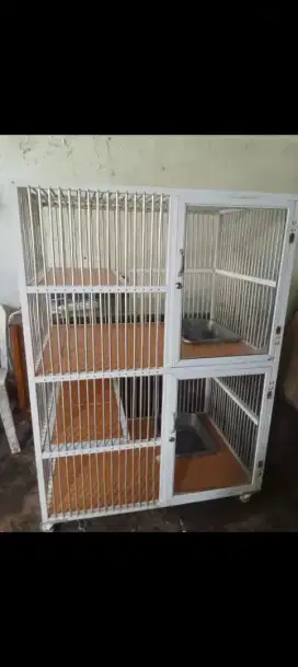 Kandang kucing lantai keramik + tempat pasir di dlm ,pintu akralik