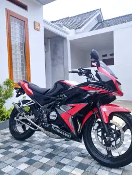 Kawasaki Ninja RR