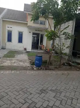 Rumah Dijual di Krian