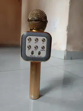 Mic Karaoke Wireless WSTER WS-858 - Bekas, Masih Bagus!