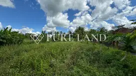 Pristine Land in Bitera Ubud