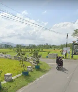 Tanah sawah dijual