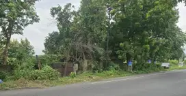 Dijual Tanah Raya Bangil, Pandaan, 3200m2, Utara, 2,7jt/m2 Nego