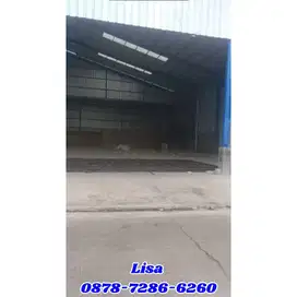 LUAS 850 BESAR BANGET HARGA MURAH CUMA 300 JUTA MASIH NEGO KERAS