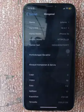 iPhone XS 256 allop